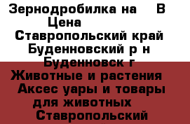 Зернодробилка на 220В › Цена ­ 10 000 - Ставропольский край, Буденновский р-н, Буденновск г. Животные и растения » Аксесcуары и товары для животных   . Ставропольский край